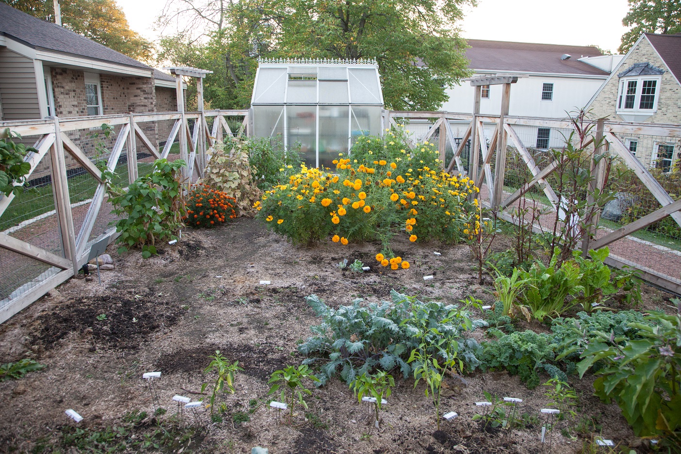 Garden Image